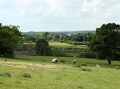 Towards Dawes